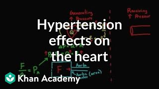 Hypertension effects on the heart  Health amp Medicine  Khan Academy [upl. by Nairoc]