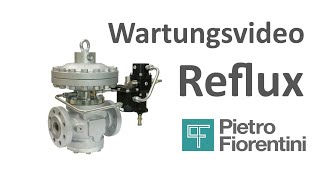 Fiorentini Deutschland Wartung Reflux [upl. by Ahseym]