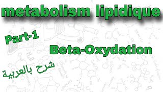 Part1  metabolism lipidique  Betaoxydation  درس الميتابوليزم بالعربية [upl. by Thalia]