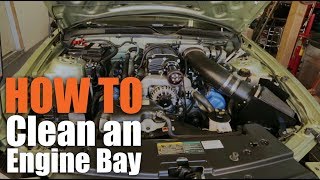 CleanProtect GUNK Engine Cleaner  How to Degrease Engine Bay [upl. by Araihc745]