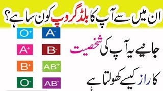 Blood Group Tells About Personality In Urdu  Anam Home Remedy [upl. by Nodnab]