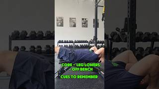 Core  Leg lowers  Off bench  Cues [upl. by Meill]