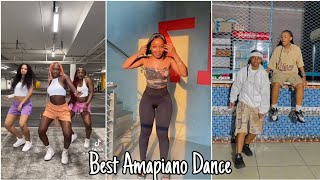 TikTok Amapiano Dance Compilation 2024  Best Viral Moves [upl. by Servais244]