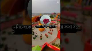 বলোnuriasdiaries subscribe shorts viral viralshorts youtubeshorts [upl. by Ribaudo]