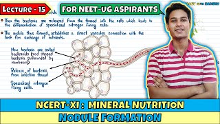 Mineral Nutrition Lec 15 Root Nodule Formation Class 11 NEET Harishu [upl. by Mullane]