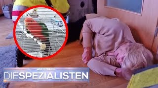 Hilferuf vom Papagei Frau liegt seit 2 Tagen alleine in der Wohnung  Die Spezialisten  SAT1 TV [upl. by Nej]