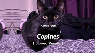 Copines Song Slowed Reverb [upl. by Ileyan512]