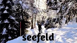 Seefeld in winter  white wonderland⛄️ Hiking in Seefeld  Tyrol  Austria [upl. by Nospmas]