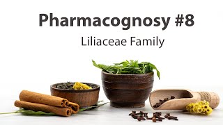 8 Liliaceae Family  Pharmacognosy [upl. by Isyed]