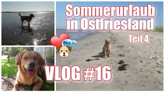 VLOG 16  Sommerurlaub Teil 4  Hundestrand Norddeich  geheimer Strand und einsamer See [upl. by Bigot749]