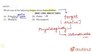 Which one of the following fungus shows heterothallism [upl. by Azilem]