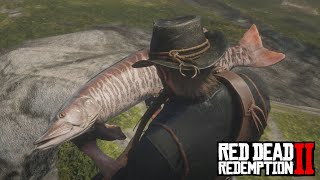 Red Dead Redemption 2  Legendary Muskie Location amp Catch [upl. by Anil]