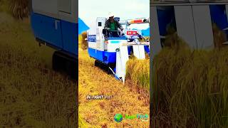 Compact Farming Made EASY with Mini Rice Harvester [upl. by Kamin]