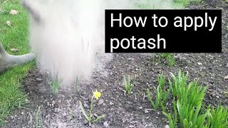 How to apply potash [upl. by Peadar462]