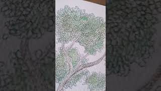 dessin artistique art drawing satisfying [upl. by Waterer]