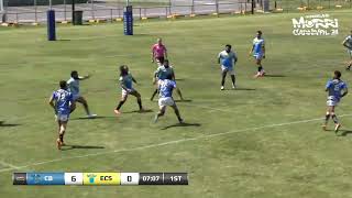 2024 QMC Mens Round 16  Coastal Blacks v East Coast Sharks [upl. by Khalid]