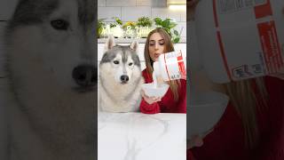 Come CREARE UN ADESIVO NATALIZIO🎅🏼😍🎄 tutorial creazioni creative cane dog [upl. by Malvino]