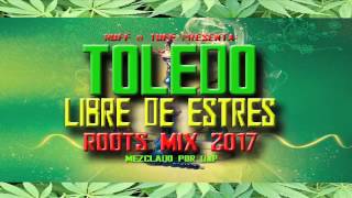 Toledo  Libre De Estres Roots Mix 2017 Mezclado por DjP [upl. by Akym]