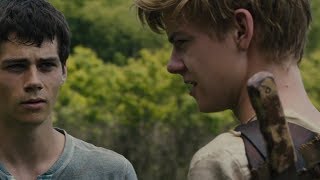 Thomas meets Newt The Maze Runner [upl. by Tait86]