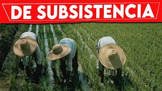 🏆 QUE Es La AGRICULTURA De SUBSISTENCIA ✅ Agricultura de SUBSISTENCIA  AGRICULTURA RENTABLE [upl. by Assyl]