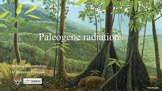 Lecture 25 Paleogene radiations April 9 [upl. by Bove598]