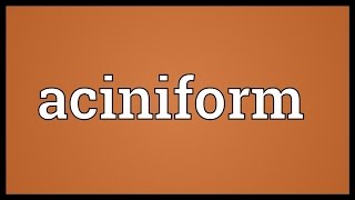 Aciniform Meaning [upl. by Ayrb282]