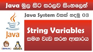 Sinhala Java with Netbeans Lesson 03 by Chanux [upl. by Gallard]