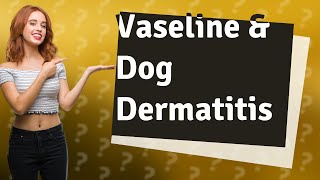 Is Vaseline good for dog dermatitis [upl. by Llehsar158]