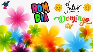 Bom Dia Feliz Domingo Linda mensagem [upl. by Lyndell253]