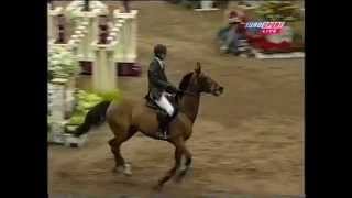 Ratina Z amp Ludger Beerbaum  1999 World Cup Final day 2 leg 2 [upl. by Cimah466]