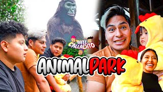 NIÑEROS DE GOHAN EN ANIMAL PARK  Tate Calladito Ft Rommel Racp [upl. by Pack]