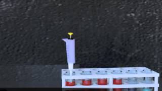 Gel Electrophoresis Animation [upl. by Tillio]