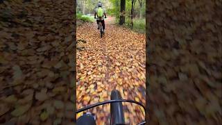 MTB Forest Riding 9 [upl. by Arua]