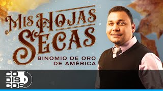 Mis Hojas Secas Binomio De Oro De América  Video [upl. by Asus]