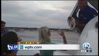 Pilot rescues 2000th animal from shelter [upl. by Kciv]