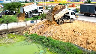 DUMP TRUCK 5T dumping Soil Landfilling filling with Skill operator Dozer working push into the water [upl. by Cissiee]