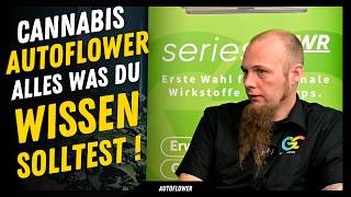 Cannabis Autoflower  Alles was du wissen solltest bevor du eine Automatic anbaust  Für Einsteiger [upl. by Naida]