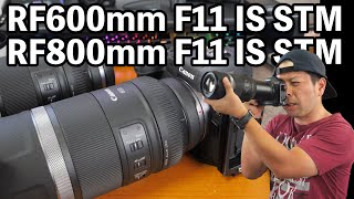 【カメラ】Canonの新しい超望遠レンズ 「RF600mm F11 IS STM」「RF800mm F11 IS STM」はどんなレンズなのか実機で紹介！ [upl. by Daenis]