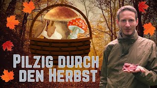 Pilzig durch den Herbst [upl. by Abram]