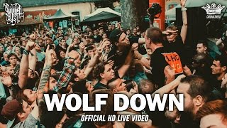 Wolf Down  Summerblast 2016 Official HD Live Video  Full Concert [upl. by Starks660]