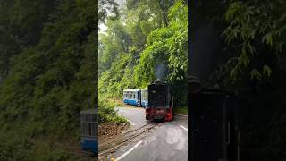 Darjeeling toy train darjeelingtour travel minivlog vairalshort [upl. by Peggie]