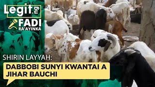 Shirin Layya Dabbobi sun yi kwantai a jihar Bauchi  Legit TV Hausa [upl. by Atnohs]