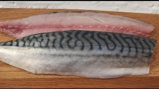 How To Fillet A MackerelAnd Cook It In Real TimeMackerel [upl. by Eibrab]