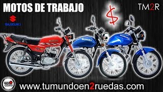 Suzuki Motos de Trabajo 2019 [upl. by Yditsahc339]