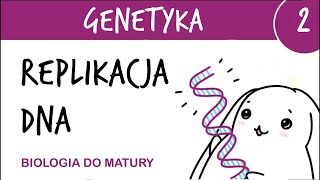 Genetyka 2  Replikacja DNA🧬  matura z biologii rozszerzona liceum [upl. by Esom731]