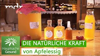 Apfelessig als Heilmittel  Hauptsache gesund  MDR [upl. by Anuait]