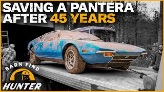 RESCUED DeTomaso Pantera Entombed 45 Years Gets A Second Chance At Life  Barn Find Hunter [upl. by Shaylynn461]