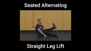 Seated Alternating Straight Leg Lift [upl. by Egag]