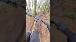 Llandegla off piste 👌 one planet adventure  orbea Rallon  insta 360 [upl. by Airamesor461]