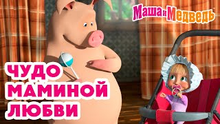 Маша и Медведь 🤱 Чудо маминой любви 🥰 💝 Коллекция любимых серий про Машу 🎬 Час мультиков [upl. by Laenaj891]